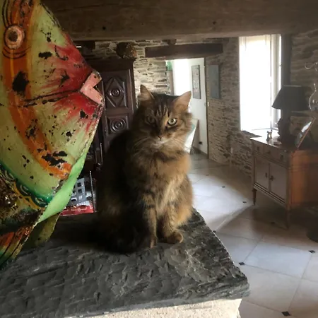 Bed & Breakfast La Petite Seigneurie De Lourmel